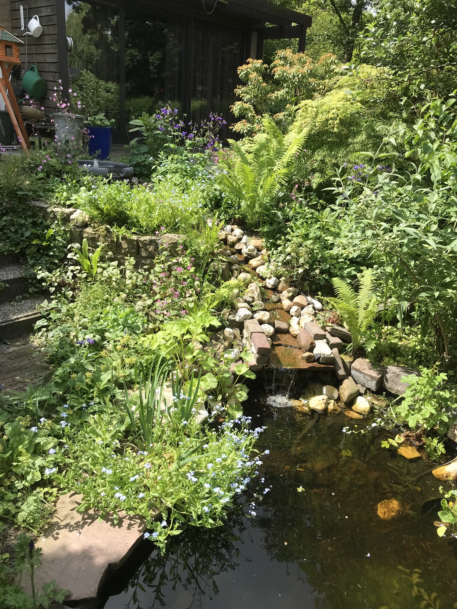 Een foto van een waterstroompje door een tuin, dat uitmondt in een kleine vijfer. Om het water heen staan veel planten.
