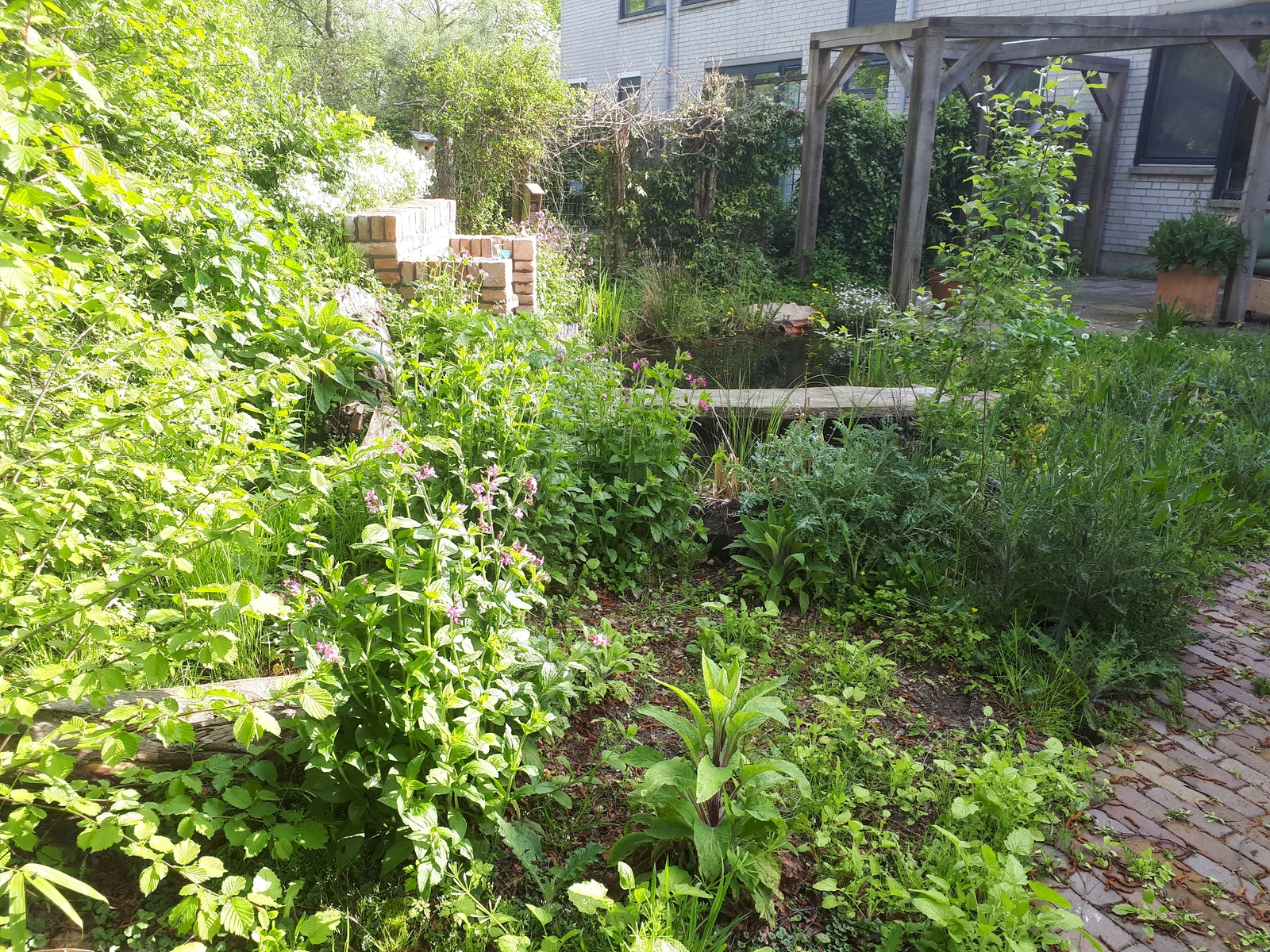 4 Ronald tuin na zijkant groot.jpg